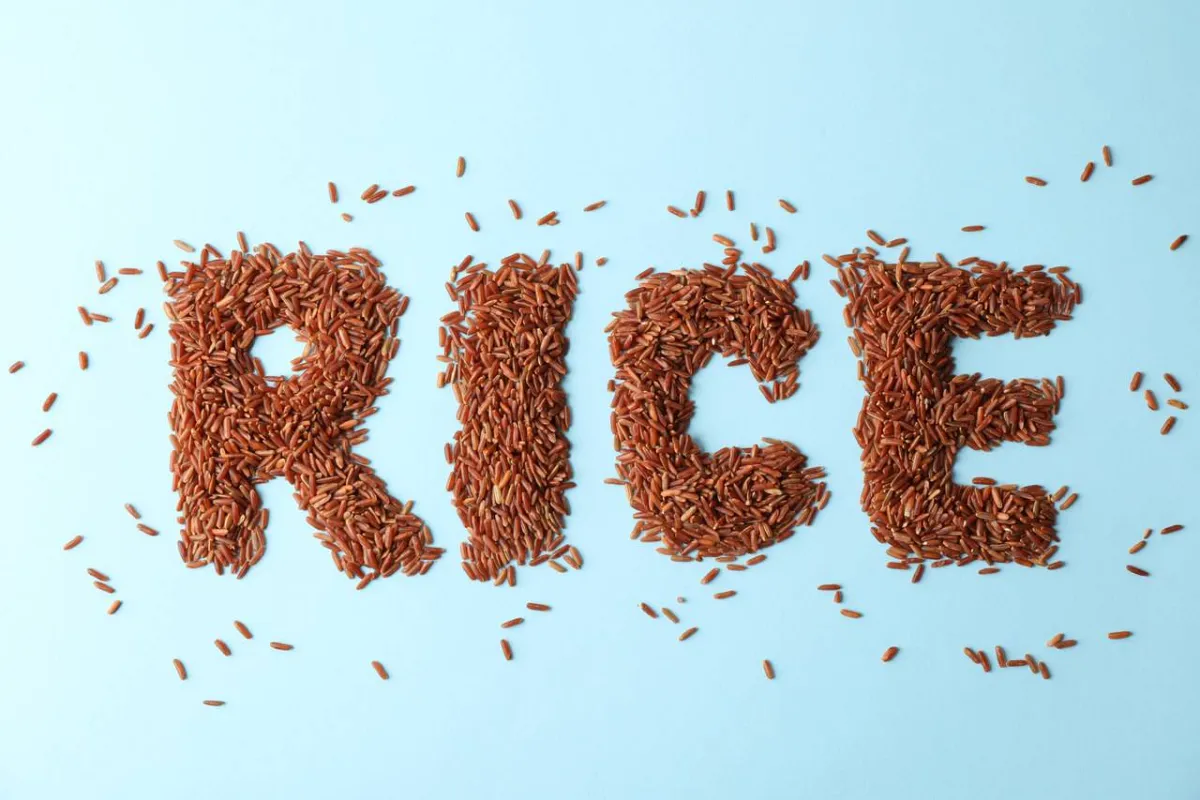 صورة تعبيرية عن الأرز