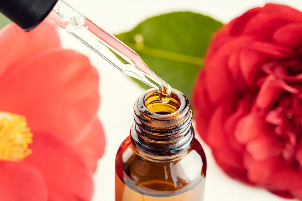 زيت الكاميليا