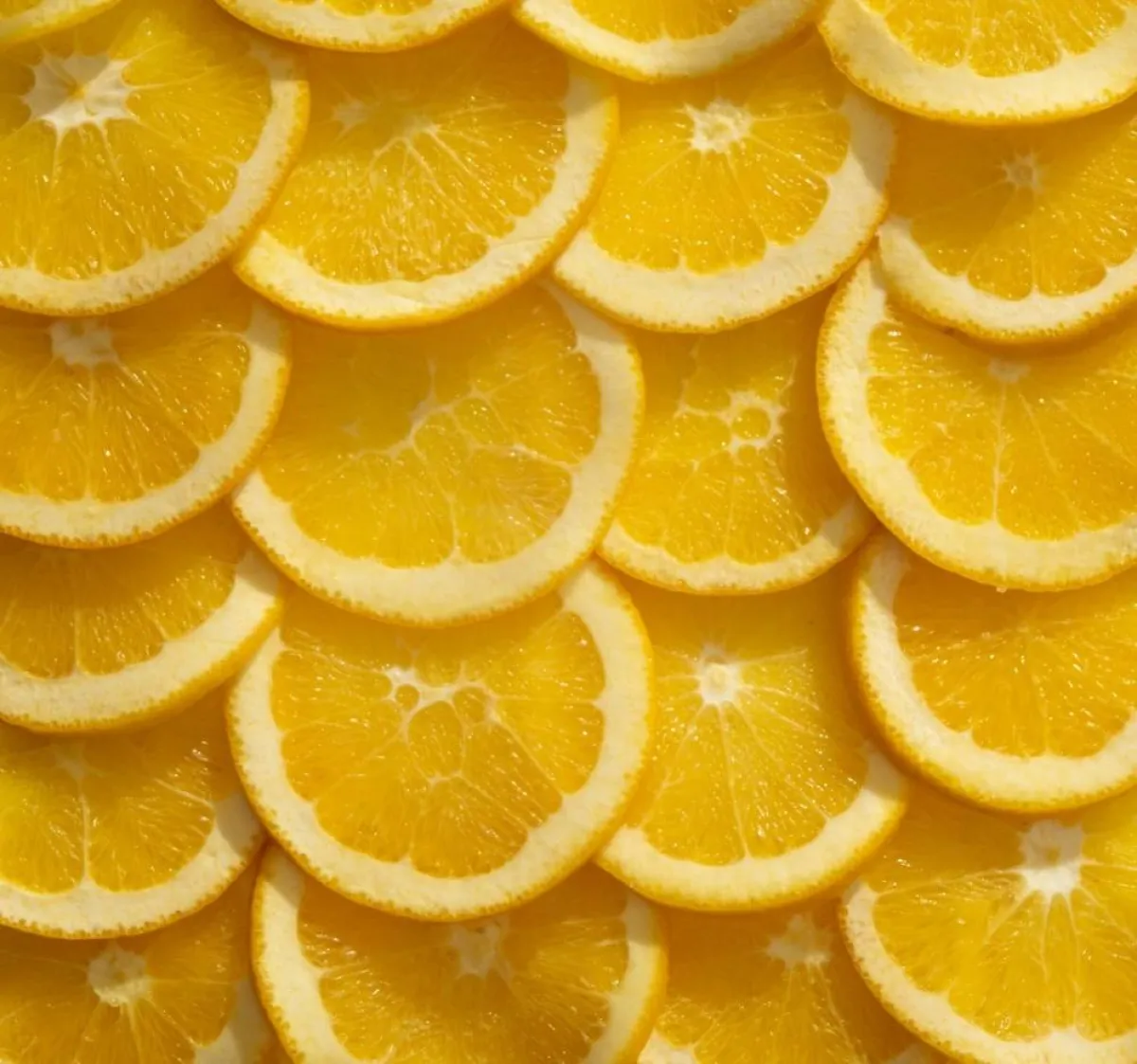 صورة لثمار البرتقال