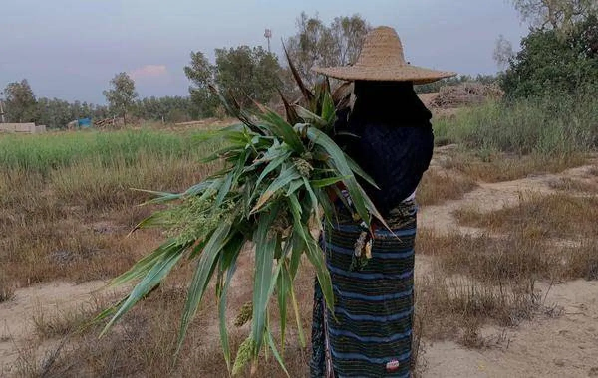  - أرشيفية من سيدتي