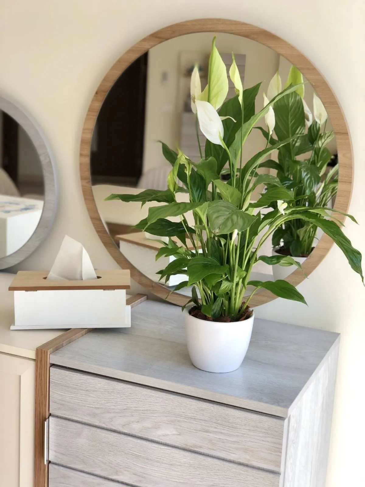 الصورة من Exotica الإمارات