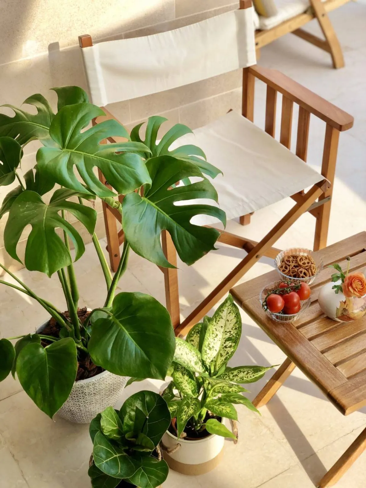 للنباتات دور متشعّب يتجاوز التزيين