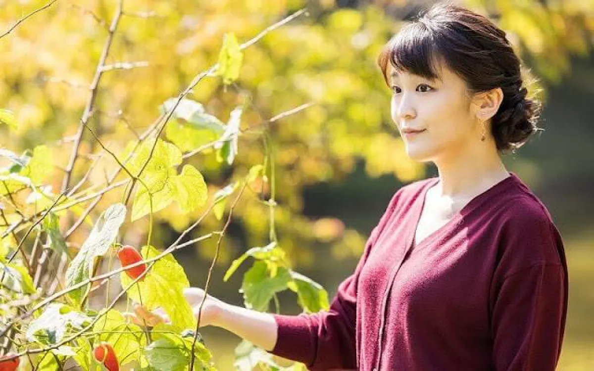 الأميرة ماكو- الصورة من موقع New my Royals