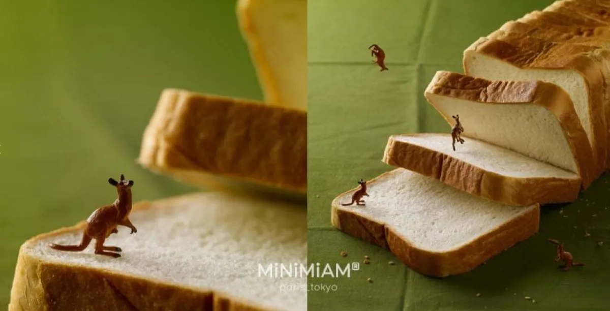 الكنغور الشقي يلعب بين شرائح الخبز - مصغرات