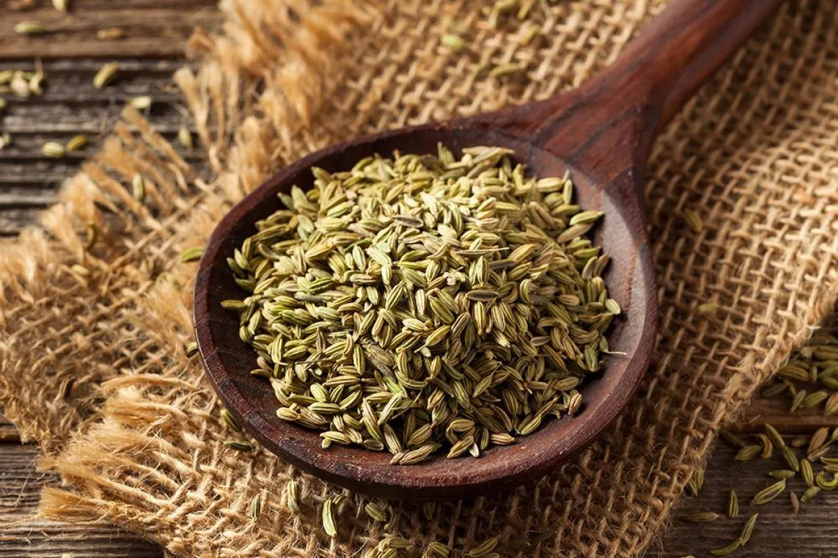 فوائد صحية عديدة للشمر للبطن