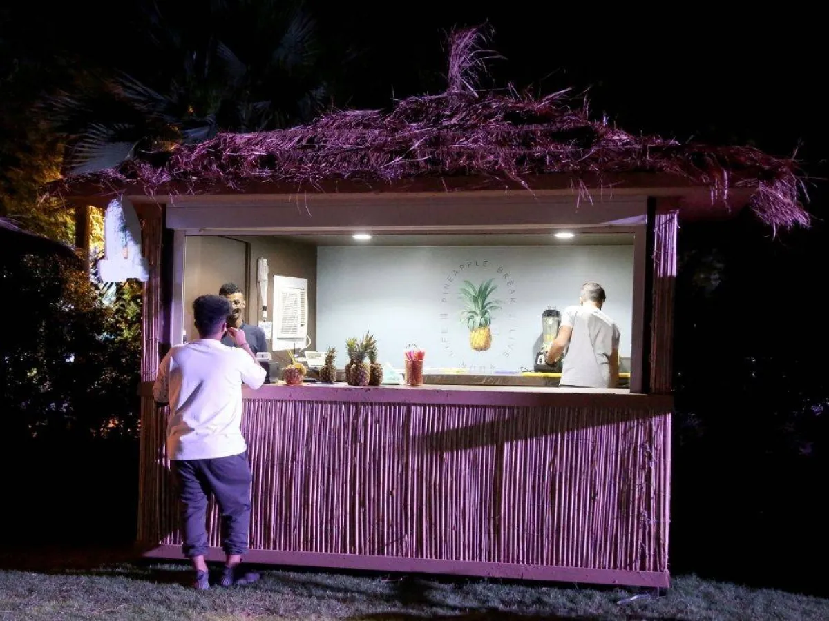 توفر الخدمات 