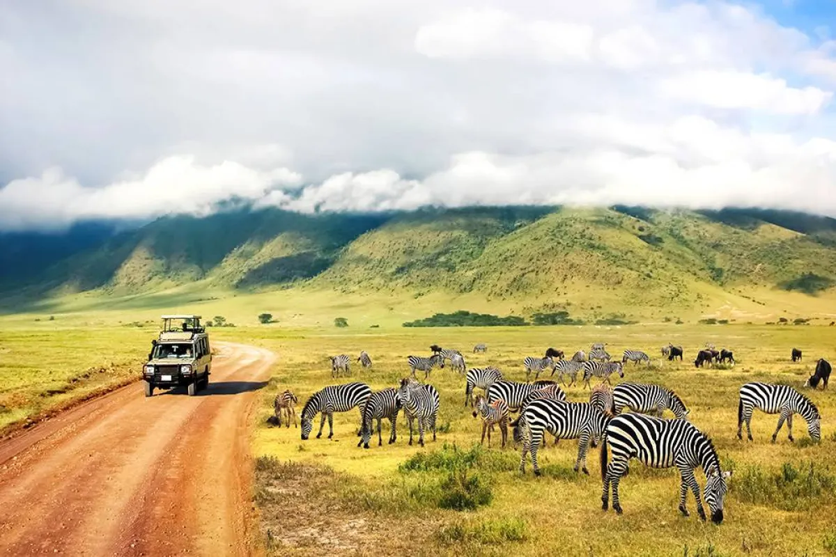 أشهر العناوين السياحية الجديرة بالزيارة في تنزانيا