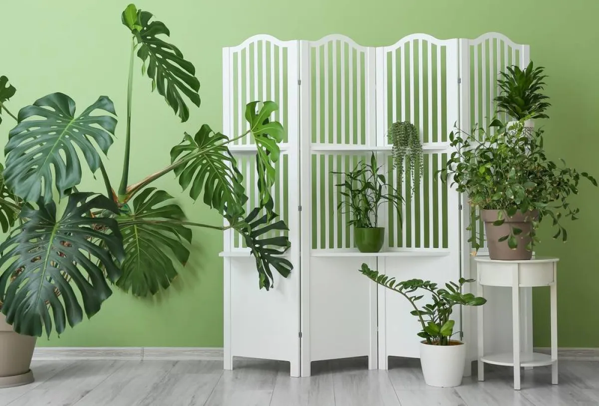 ديكورات لفواصل الغرف