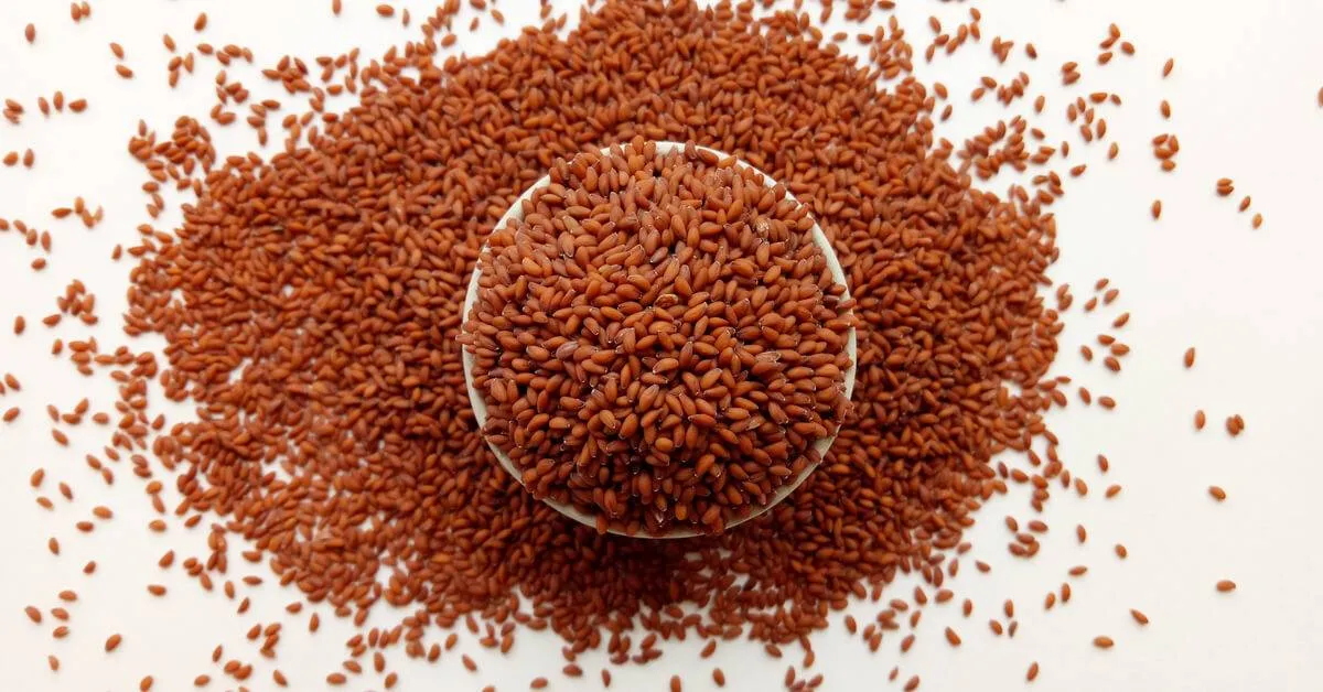 حب الرشاد فوائد وأضرار