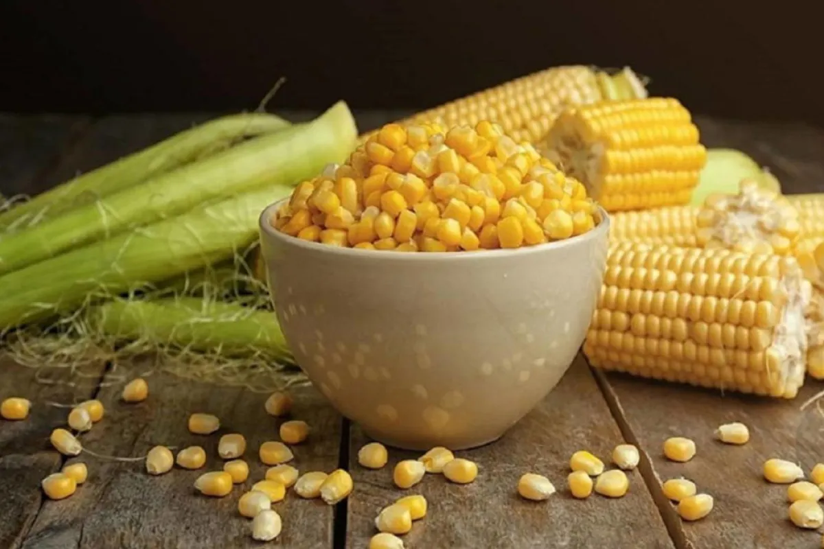 صورة لطبق من الذرة