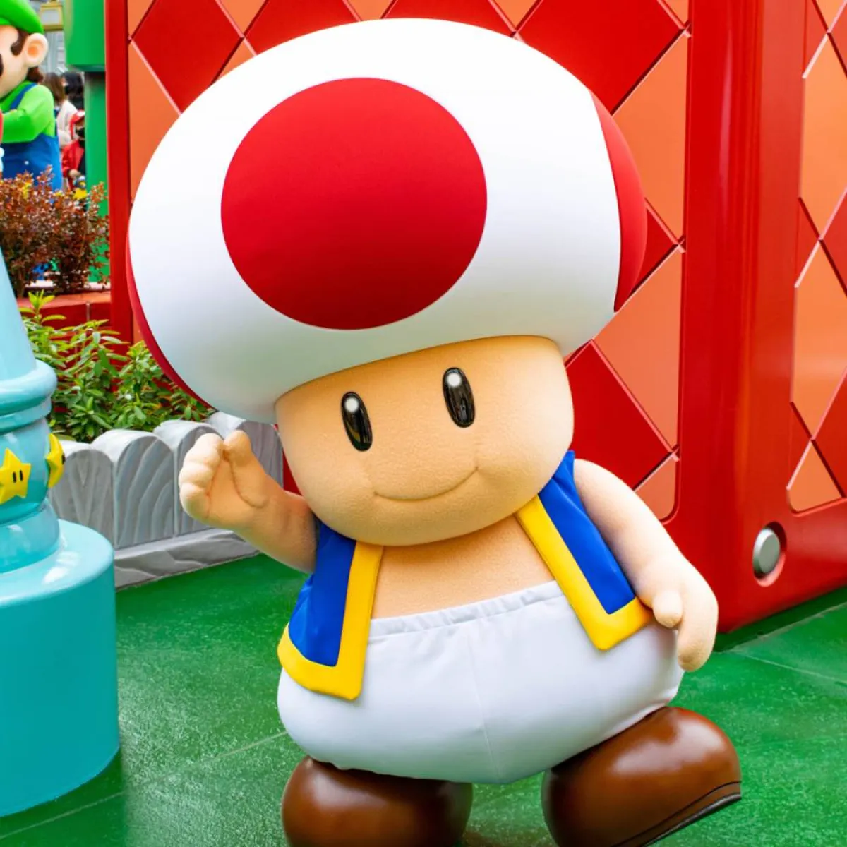 تميمة هارفي