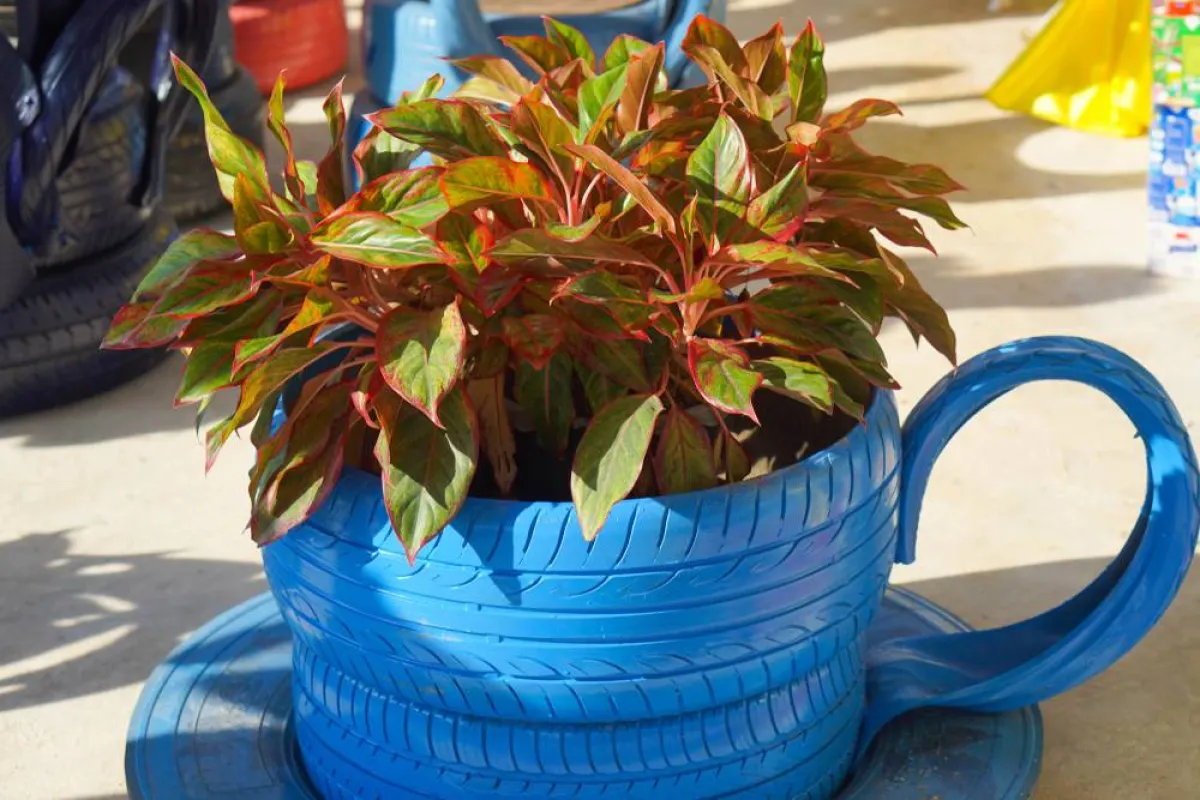 أفكار لاستخدام إطارات السيارات في تزيين الحديقة