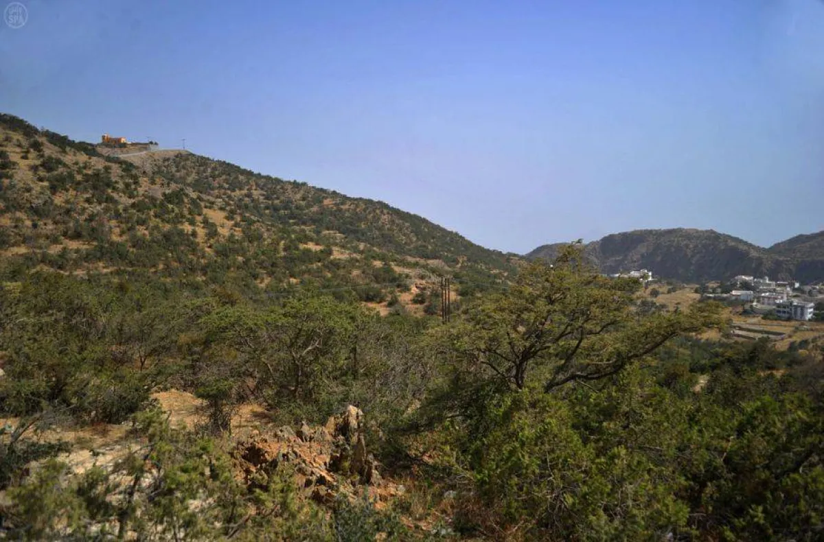 تعد بلجرشي أكبر محافظات منطقة الباحة (الصوره موقع واس)