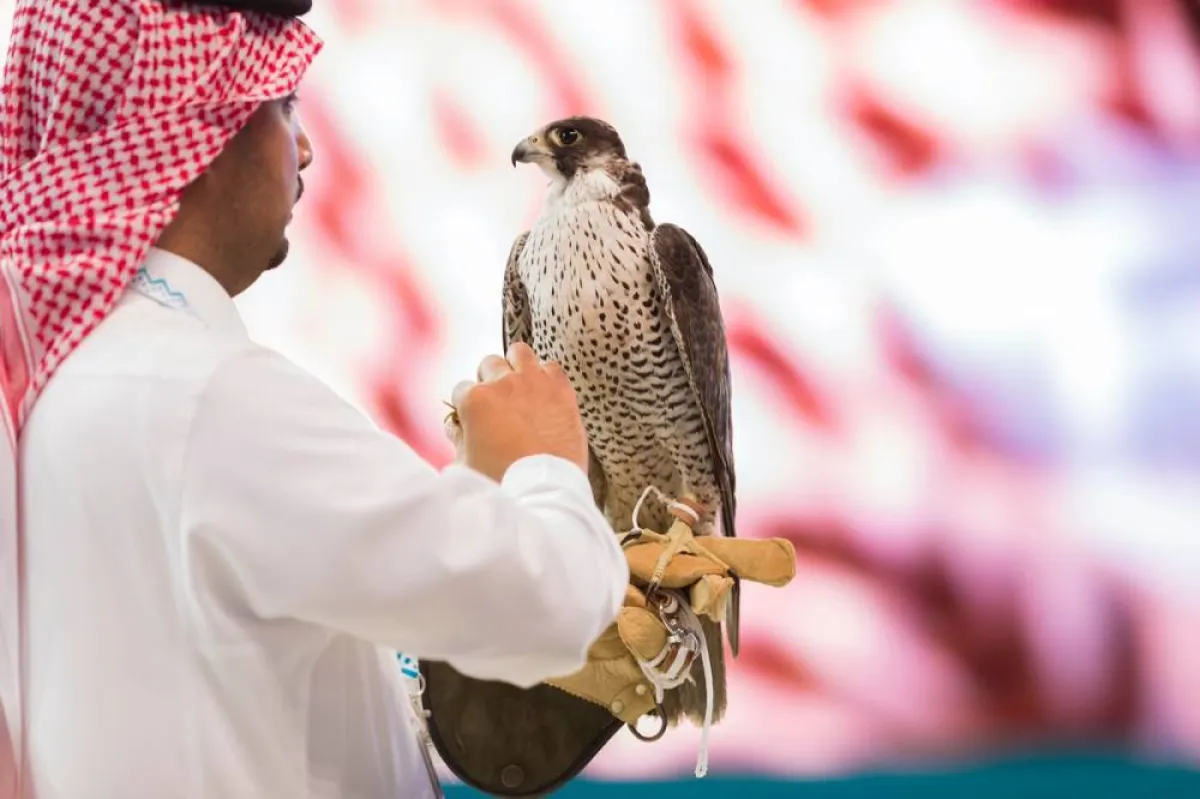 بيع 3 صقور في ثاني أيام مزاد نادي الصقور السعودي