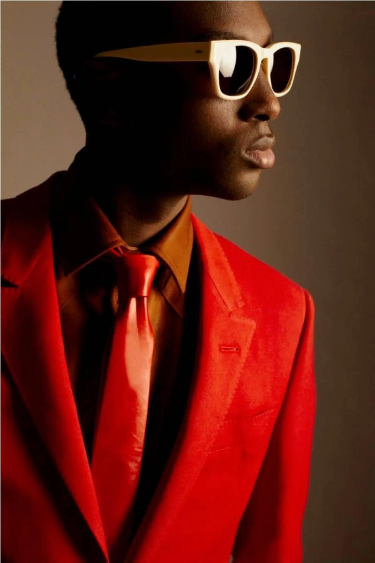 نظارات شمسية من تيدي فونرانسون  Teddy Vonranson