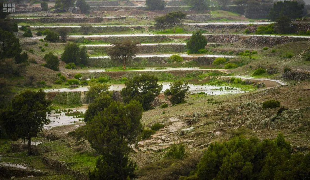 الباحة السعودية 