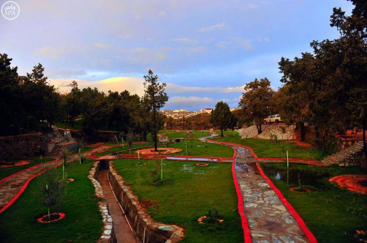 متنزه غابة رغدان 