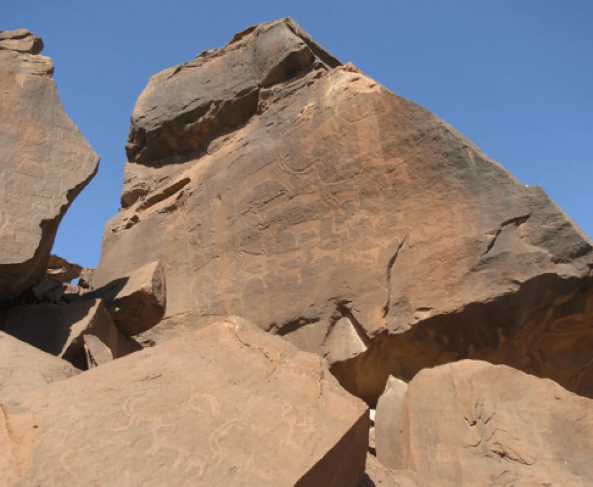 الفن الصخري 