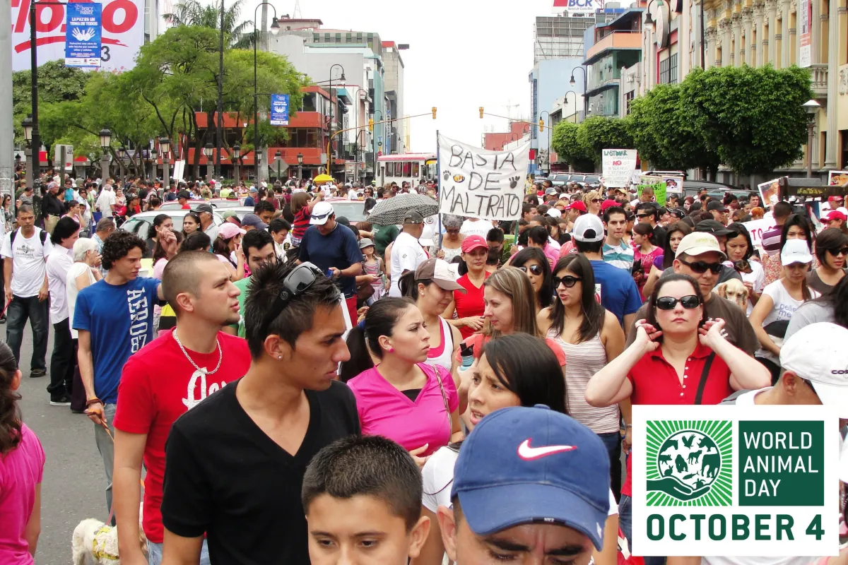 اليوم العالمي للحيوان