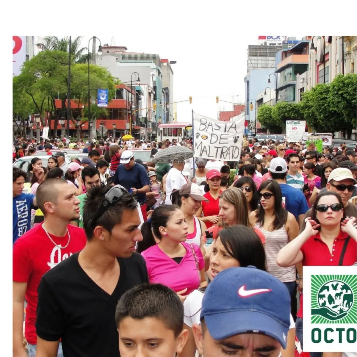 اليوم العالمي للحيوان