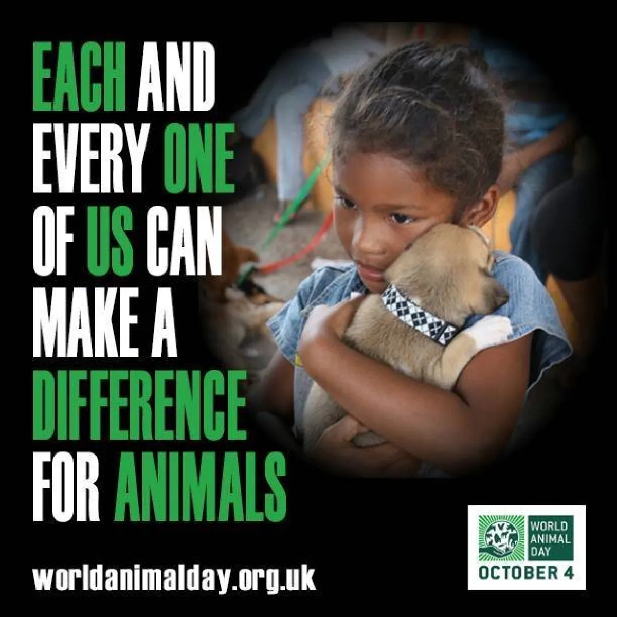 اليوم العالمي للحيوان