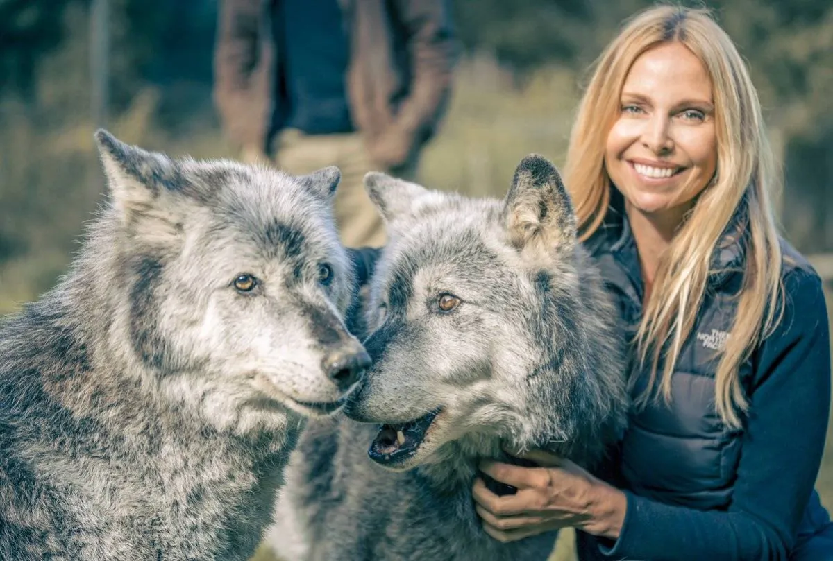 الرفق بالحيوان