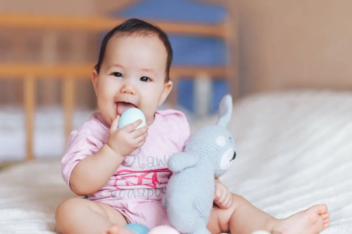 صفل يأكل البيض