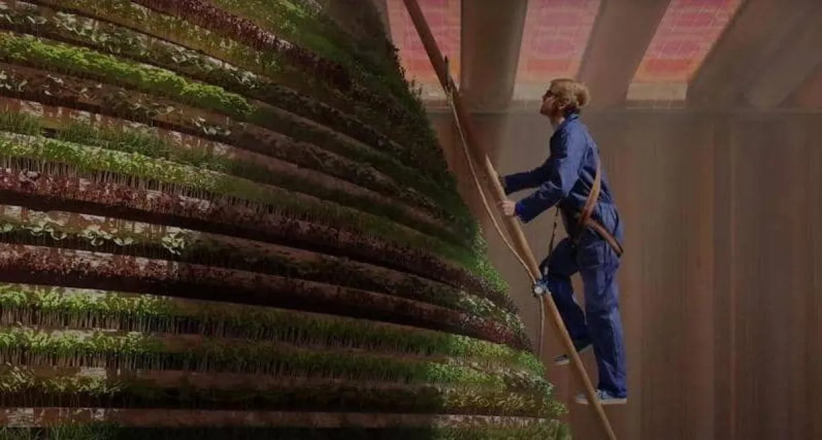 ابتكارات عبقرية في إكسبو 2020 دبي. المصدر (البيان)