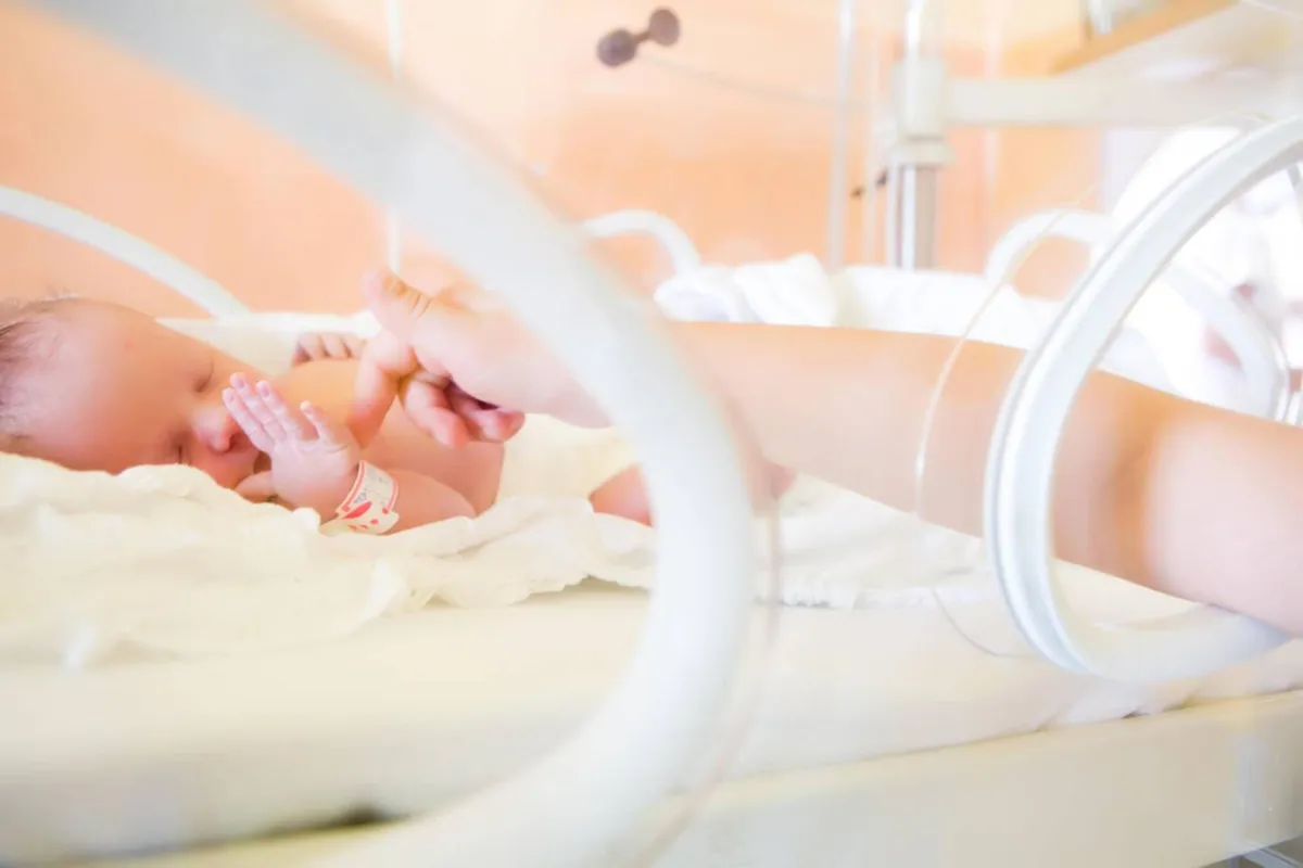 صورة لجنين غير مكتمل النمو