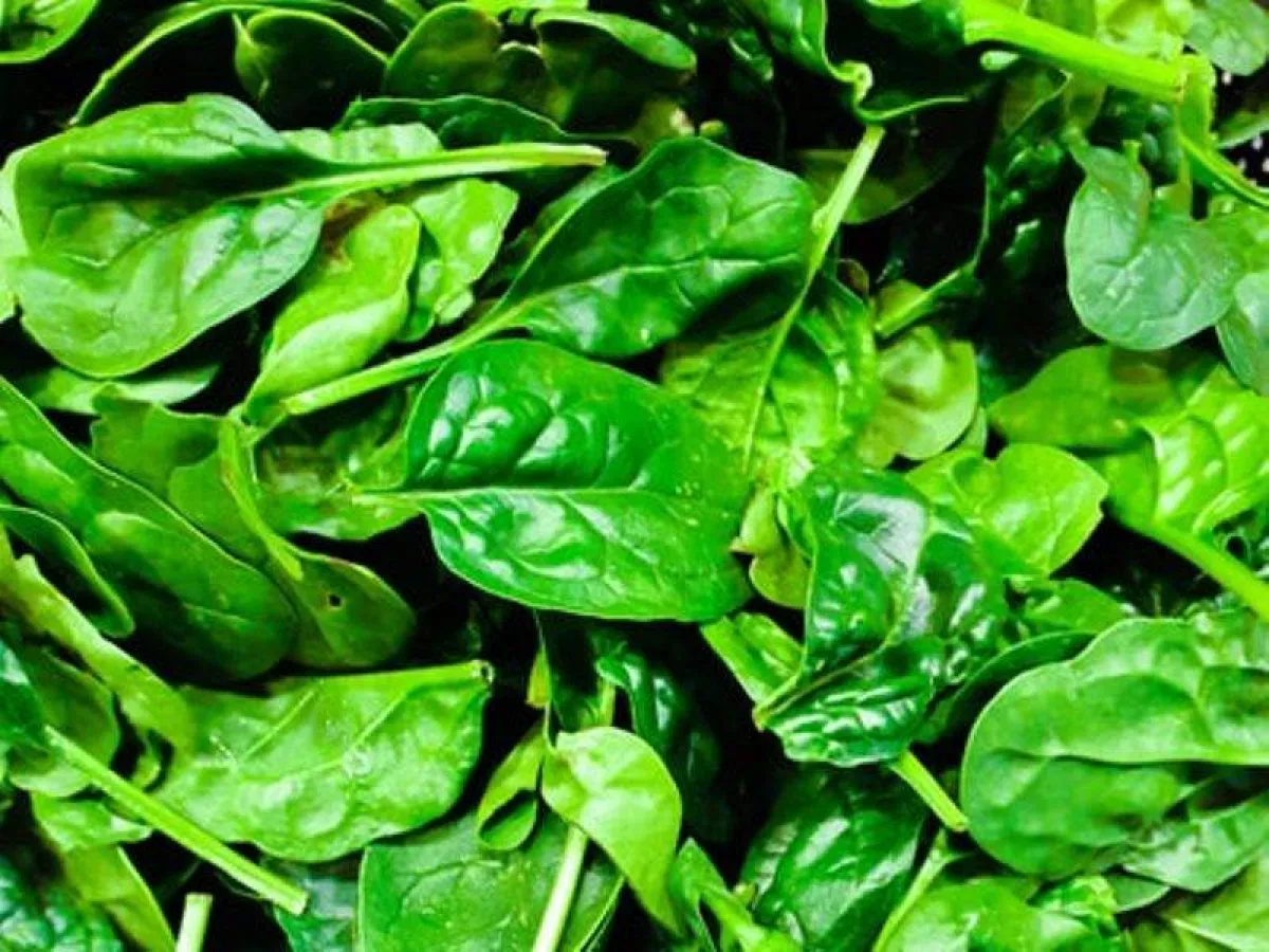 تناولي مصادر المغنيسيوم الطبيعية لتجنّب نقصه في الجسم