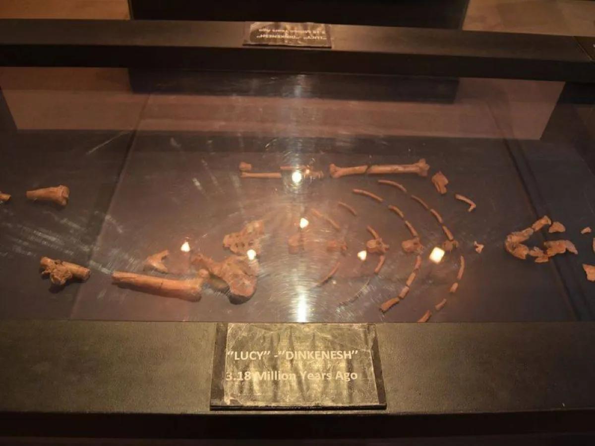 الجدة "لوسي" تستقبل أحفادها في إكسبو 2020 دبي - الصورة من موقع جولف نيوز