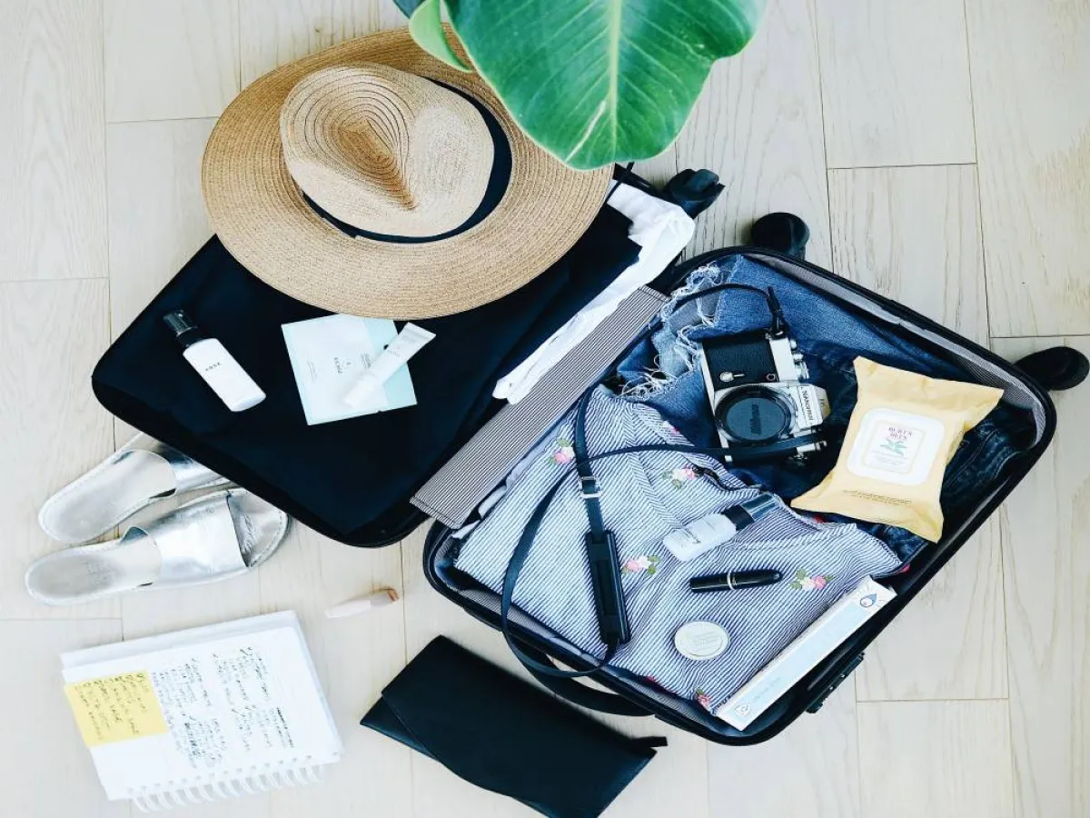 نصائح السفر 