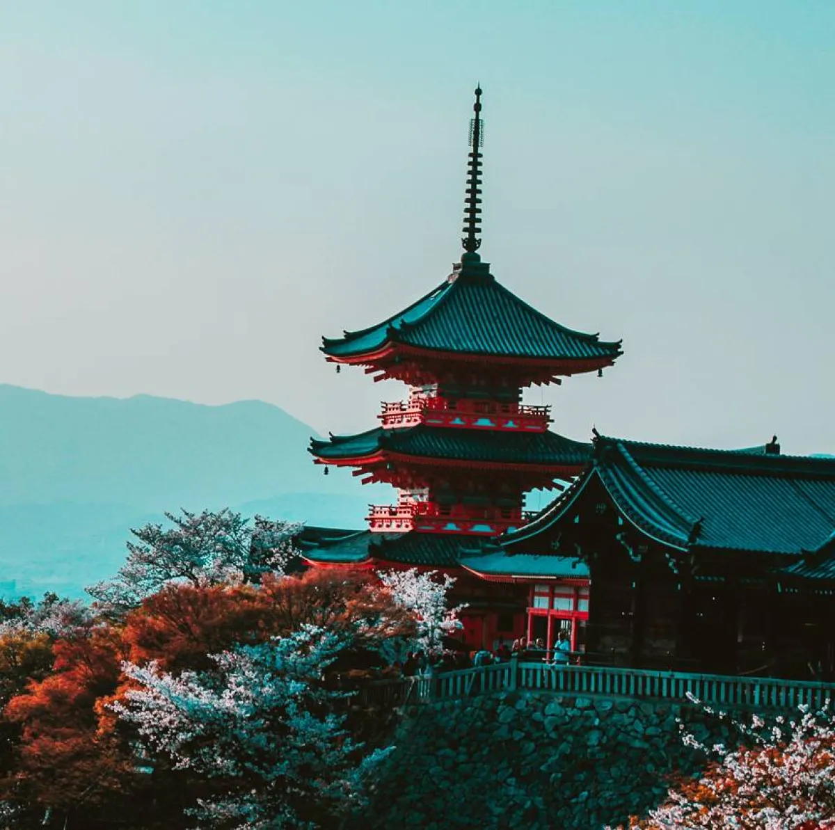 أقدم الحضارات في العالم