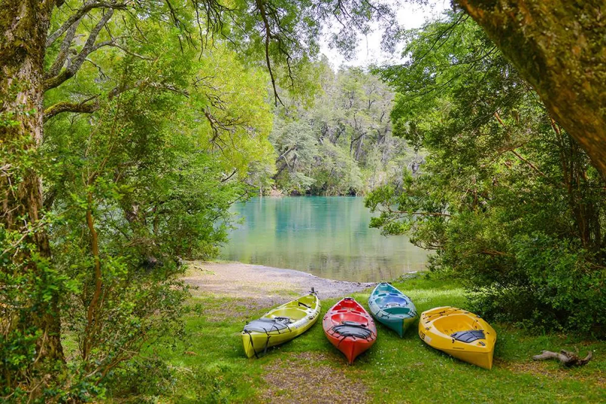 رياضة التجديف