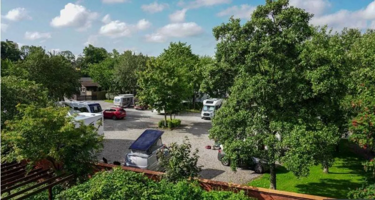  أشجار من غابة بريستول فى انجلترا 