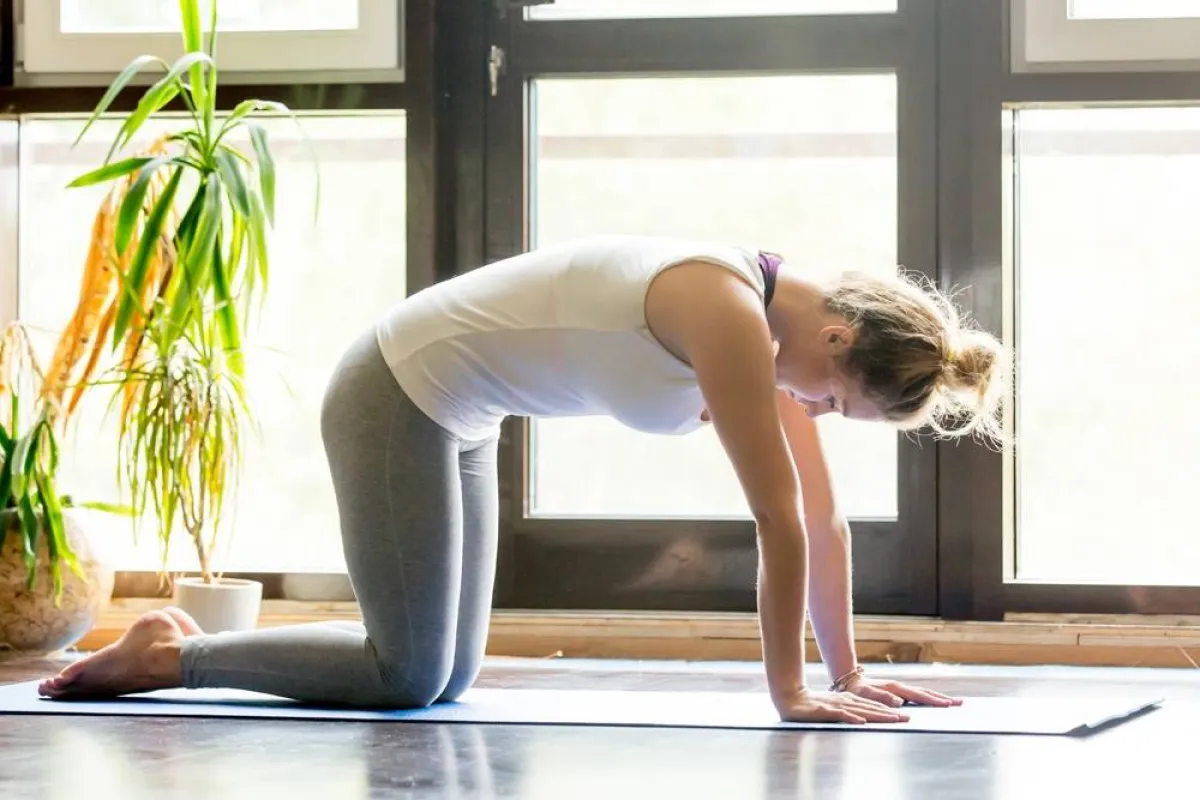 تمارين لتقوية عضلات الظهر