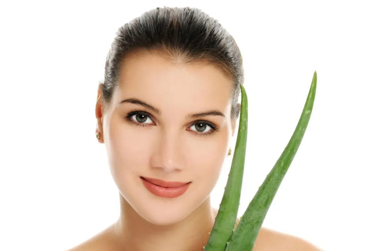 فوائد الصبار للشعر 