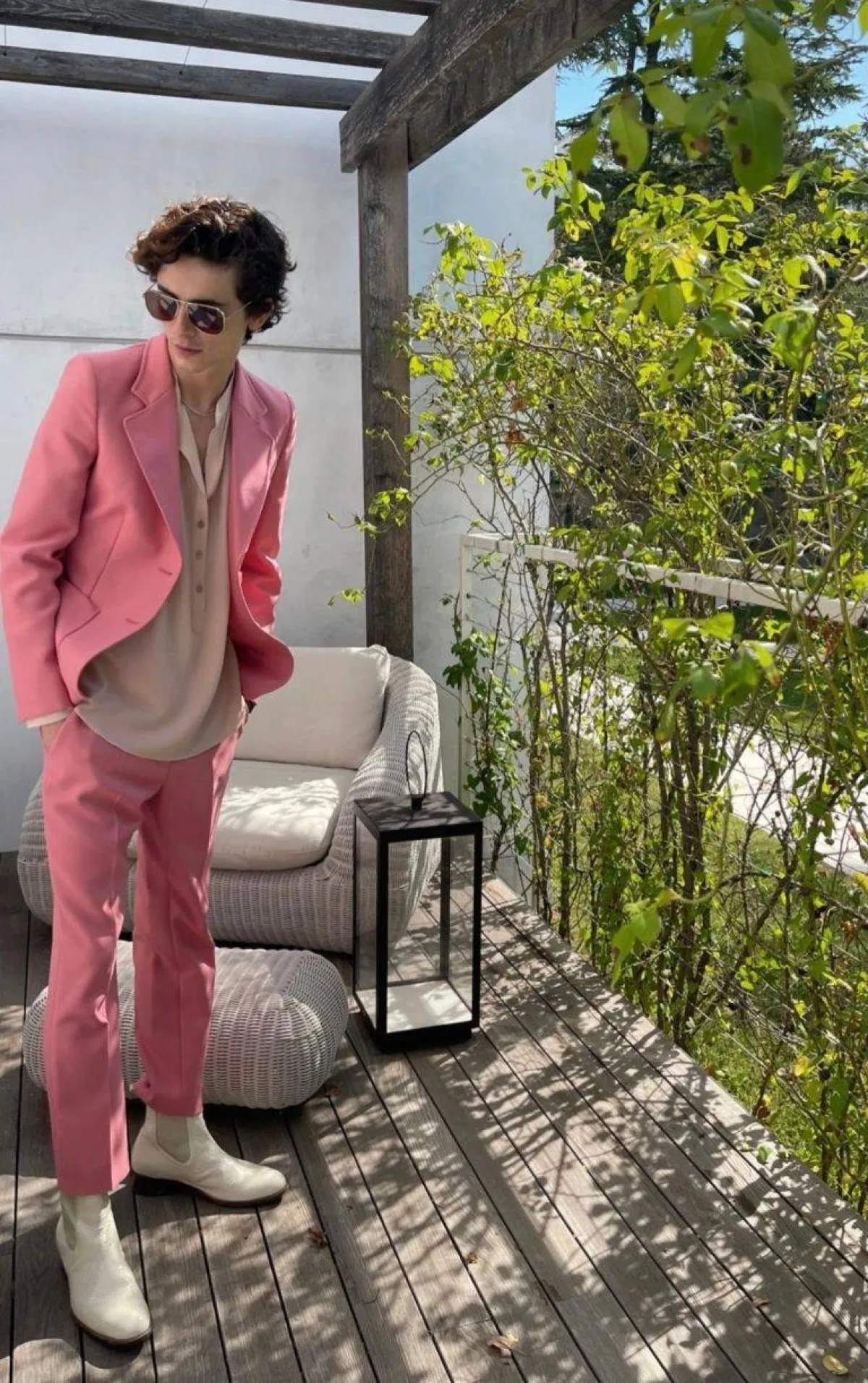 تيموتي شالاميه يرتدي من ستيلا مكارتني