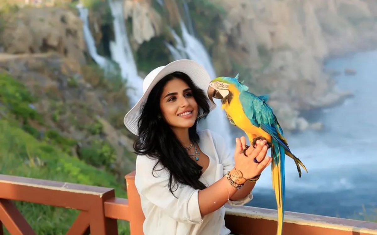 شيماء سليمان -الصورة من انستقرام الفنانة