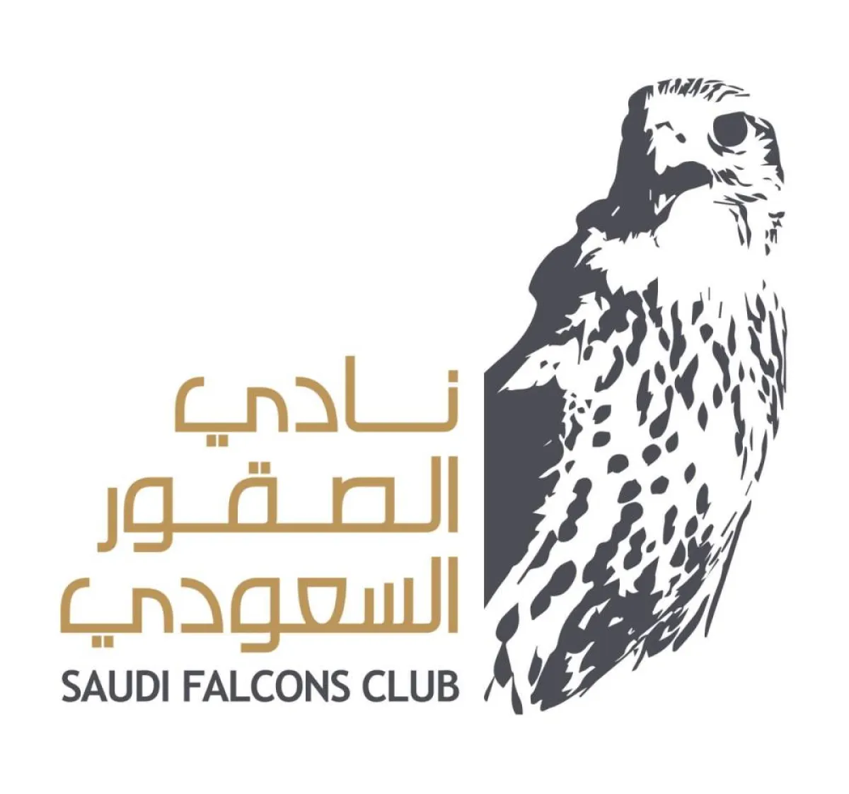 نادي الصقور مصدر الصورة ( نادي الصقور)