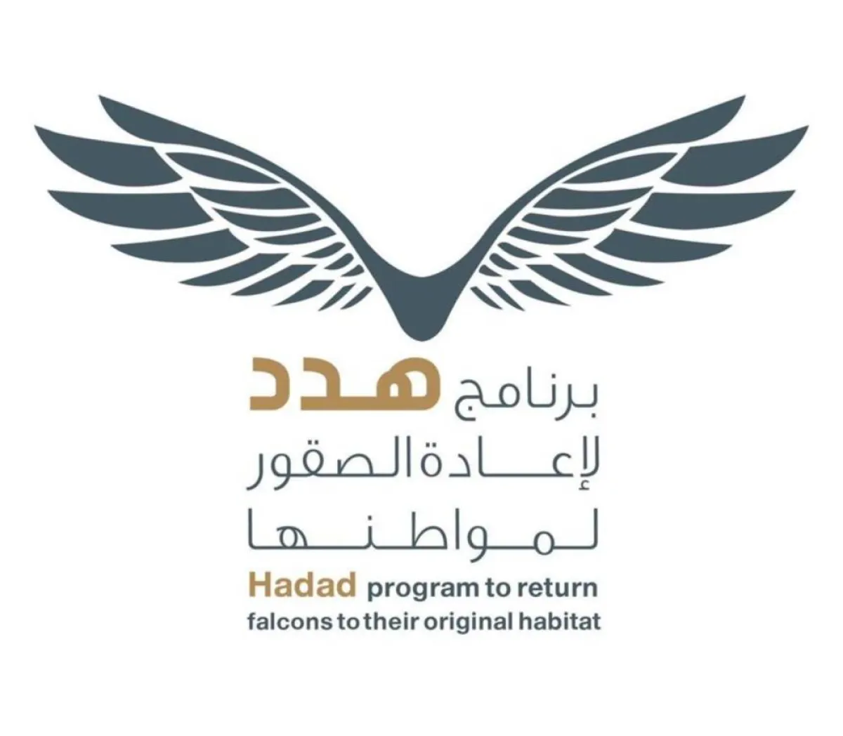 برنامج هدد مصدر الصورة