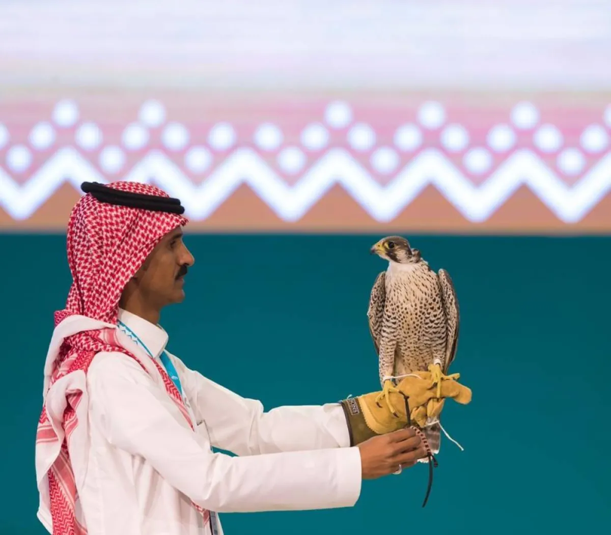 مبيعات مزاد نادي الصقور تتجاوز حاجز المليون ريال في الليلة السابعة