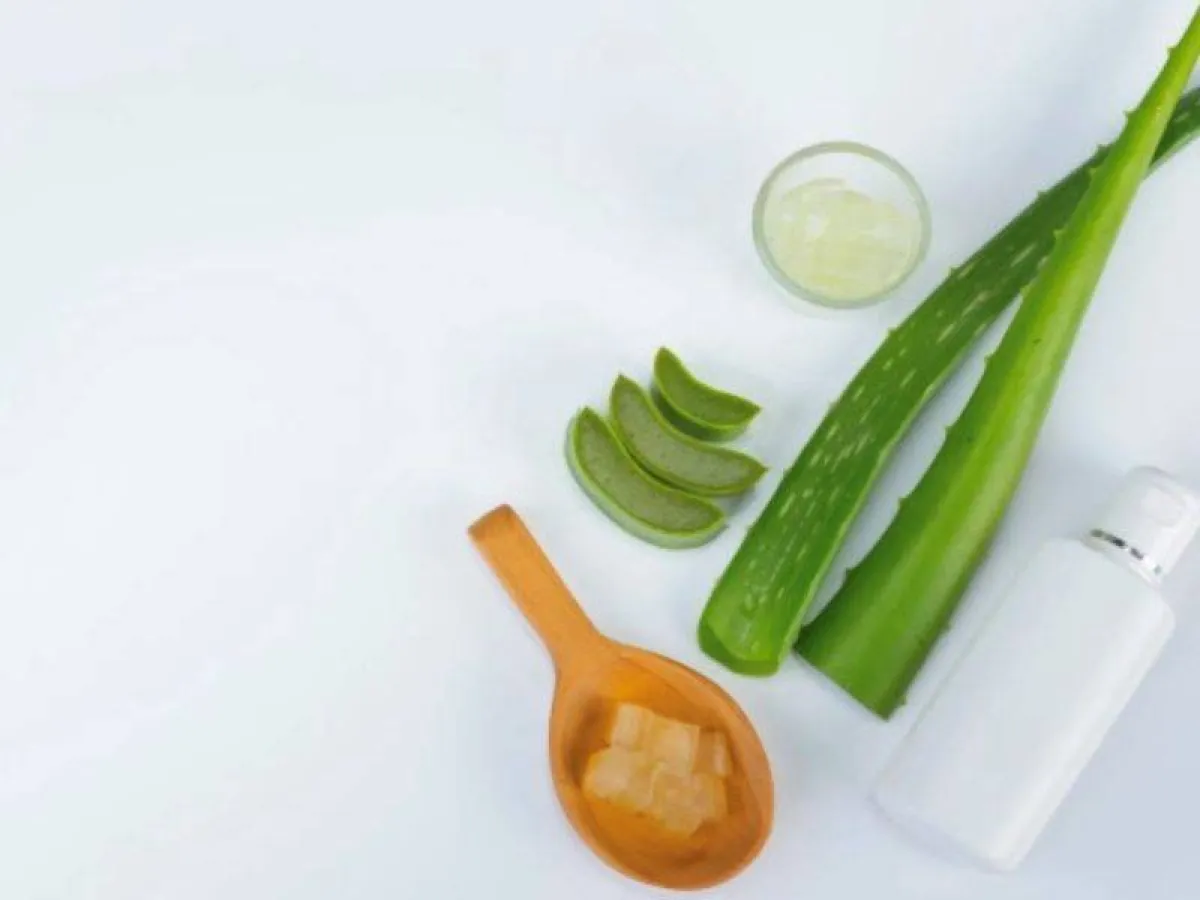 فوائد الصبار للشعر