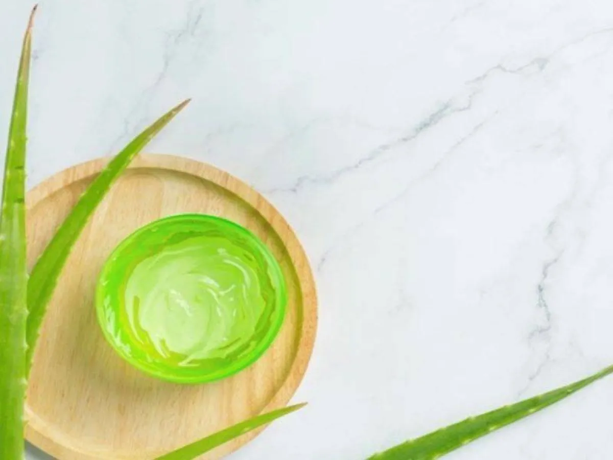 جل الصبار للشعر