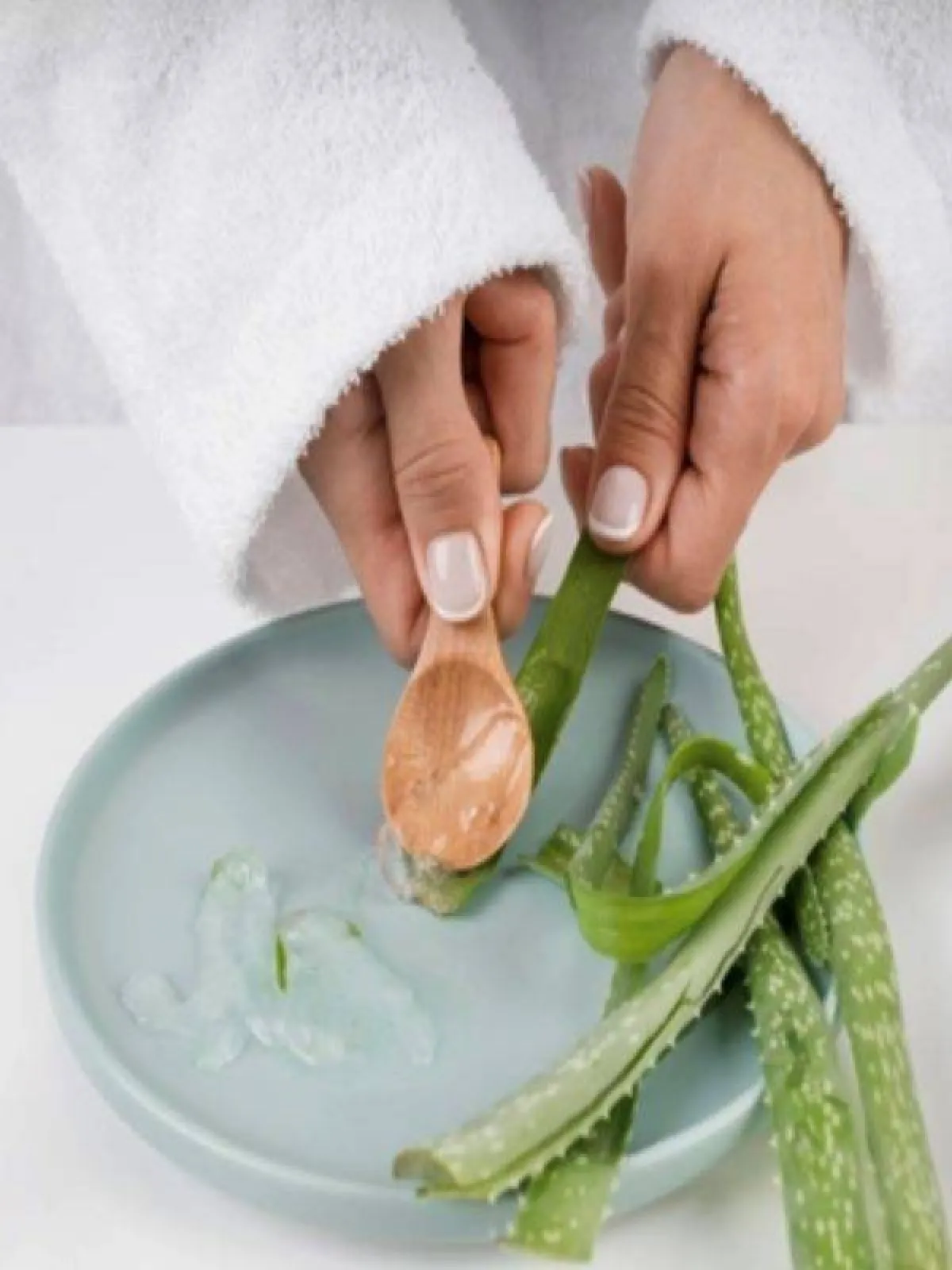 استخدام جل الصبار