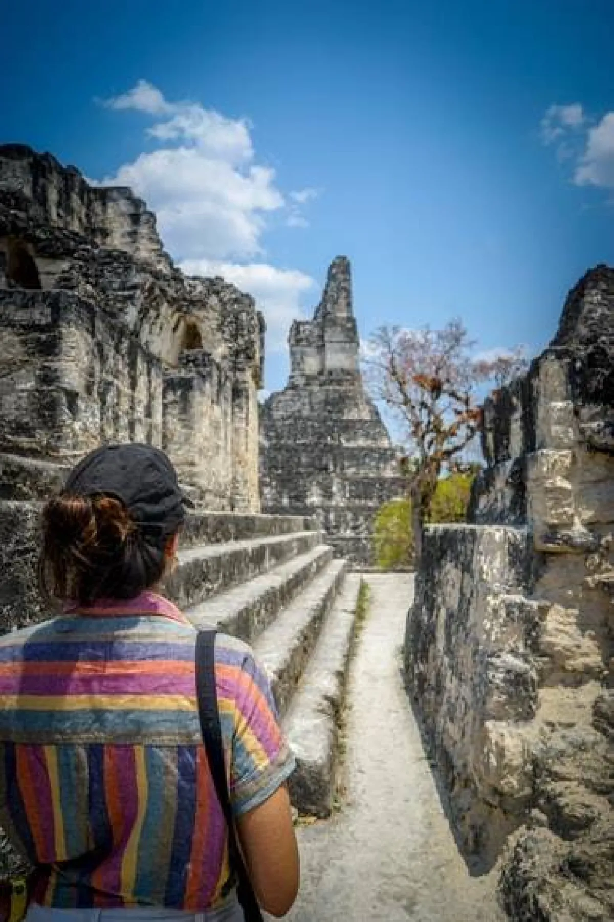  تنتقل الحضارة بسهولة إلى الجيل القادم، ولكن الثقافة ليست كذلك