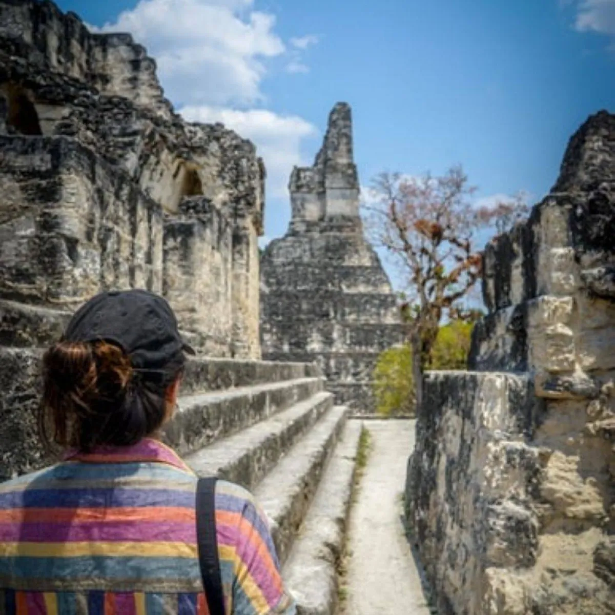  تنتقل الحضارة بسهولة من دون بذل الكثير من الجهد إلى الجيل القادم، ولكن الثقافة ليست كذلك