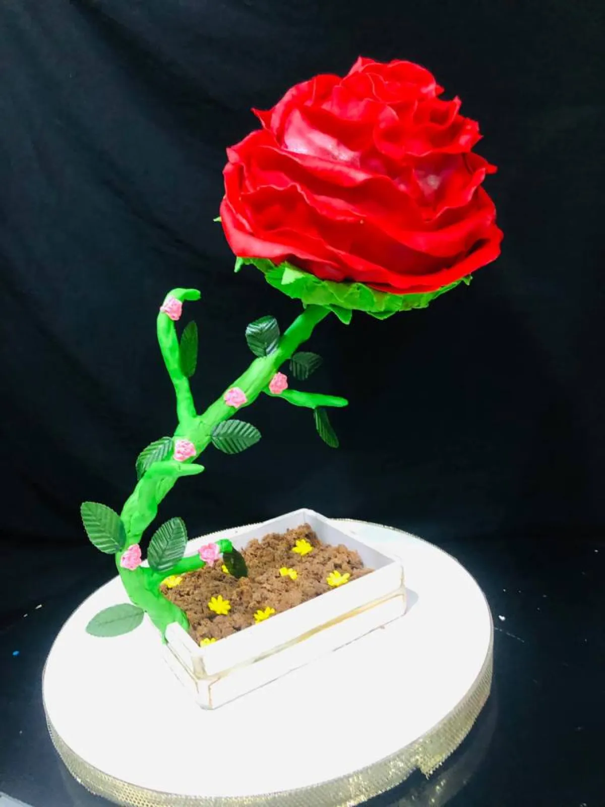 كيك آية حسن  تتحدى الجاذبية 