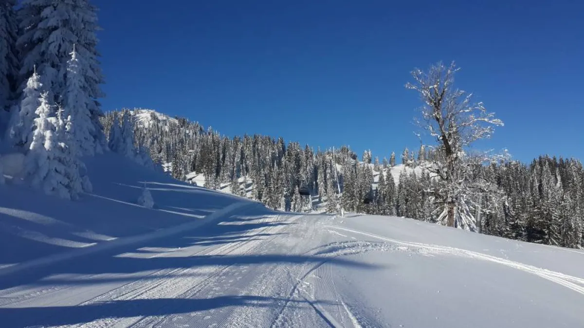 تقلب الطقس في البوسنة والهرسك