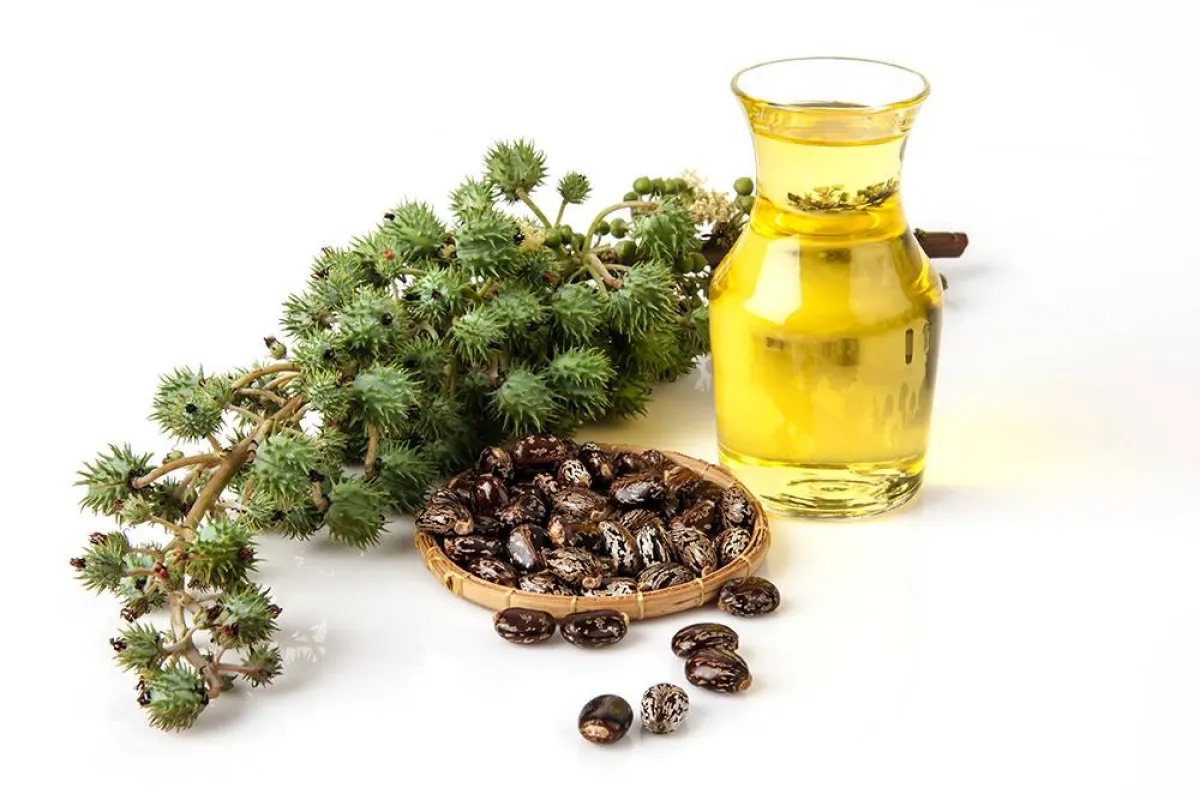 فوائد  عديدة لزيت الخروع للنساء